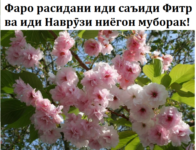 Фаро расидани иди саъиди Фитр ва иди Наврӯзи ниёгон муборак ҳамдиёрони гиромӣ! Фаро расидани иди саъиди Фитр ва иди Наврӯзи ниёгон муборак ҳамдиёрони гиромӣ!