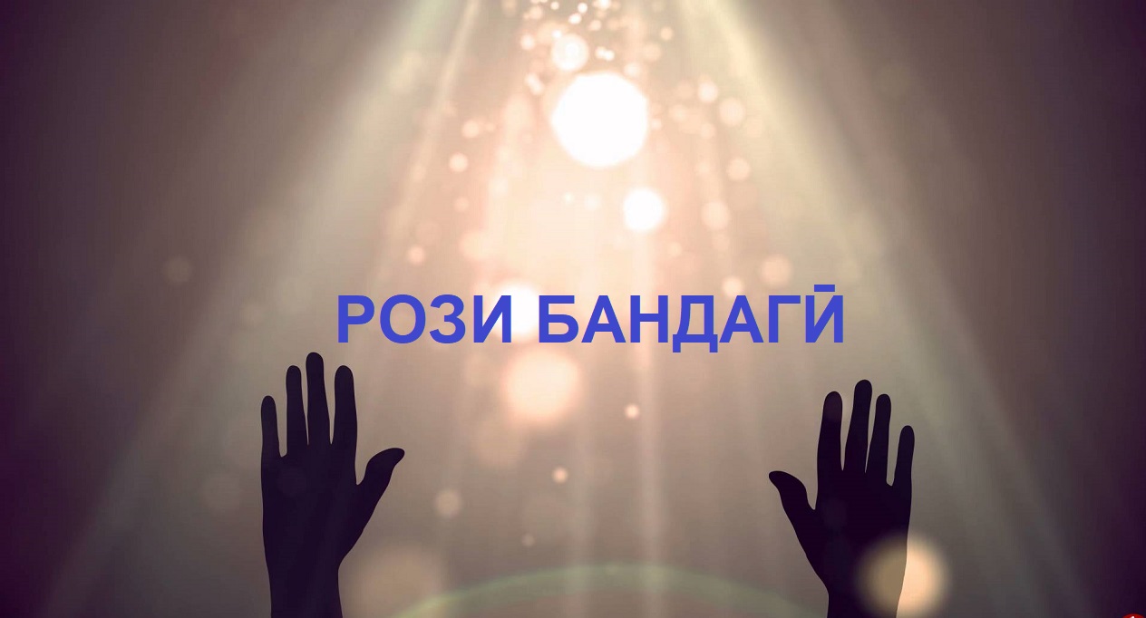 Рози бандагӣ