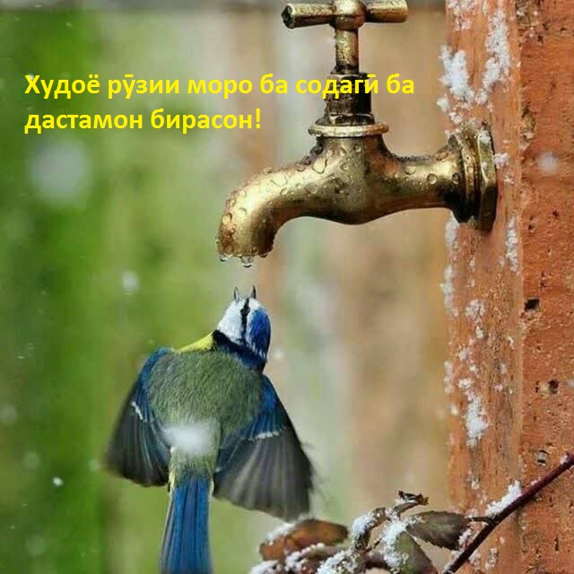 Худованд рӯзирасон аст (қисмати ҳафтум)