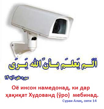... ҳар чӣ мехоҳӣ гуноҳ кун!