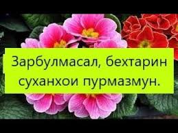 Зарбулмасалҳои хонданӣ Зарбулмасалҳои хонданӣ